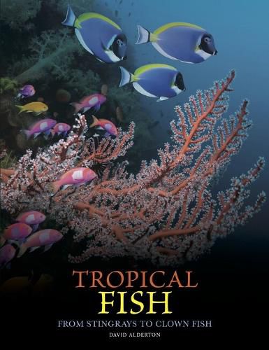 Cover image for Tropical Fish