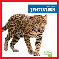 Cover image for Jaguars