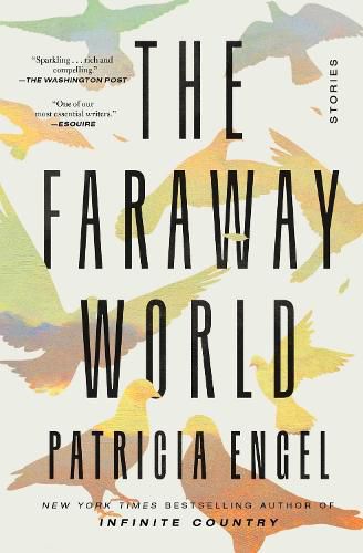 Cover image for The Faraway World