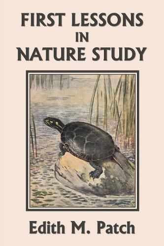 Cover image for First Lessons in Nature Study (Yesterday's Classics)