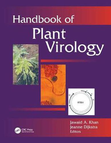 Cover image for Handbook of Plant Virology