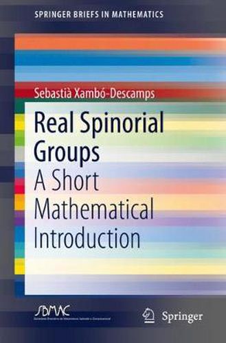 Cover image for Real Spinorial Groups: A Short Mathematical Introduction