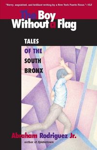 Cover image for Boy Without a Flag