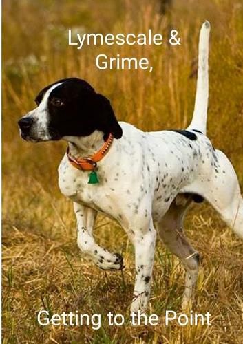 Cover image for Lymescale & Grime, Getting to the Point