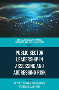 Cover image for Public Sector Leadership in Assessing and Addressing Risk