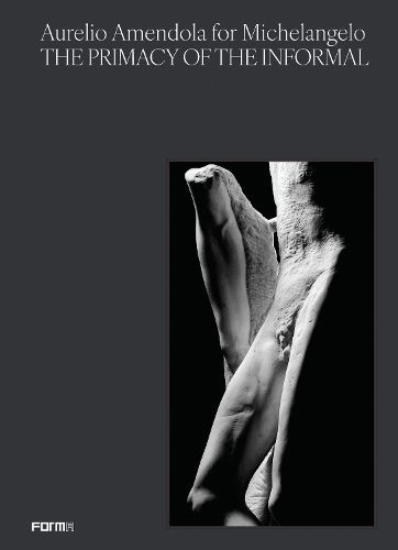 Cover image for Aurelio Amendola for Michelangelo