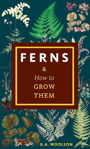 Cover image for Ferns & How to Grow Them