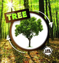 Cover image for Life Cycle of a Tree