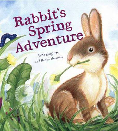 Cover image for Rabbit's Spring Adventure