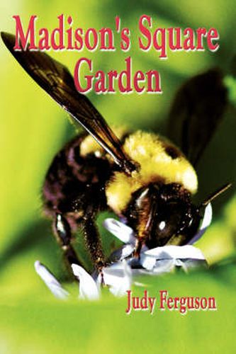 Cover image for Madison's Square Garden