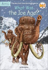 Cover image for What Was the Ice Age?