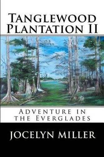Cover image for Tanglewood Plantation II: Adventure in the Everglades.