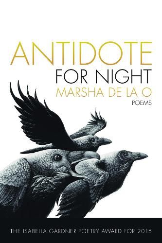 Cover image for Antidote for Night