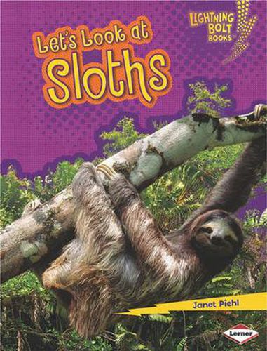 Cover image for Lets Look at Sloths