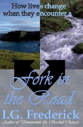 Cover image for Fork in the Road