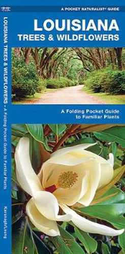 Cover image for Louisiana Trees & Wildflowers: A Folding Pocket Guide to Familiar Species