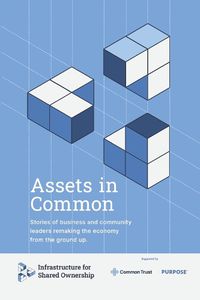 Cover image for Assets in Common