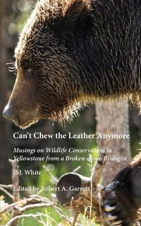 Cover image for Can't Chew the Leather Anymore: Musings on Wildlife Conservation in Yellowstone from a Broken-down Biologist