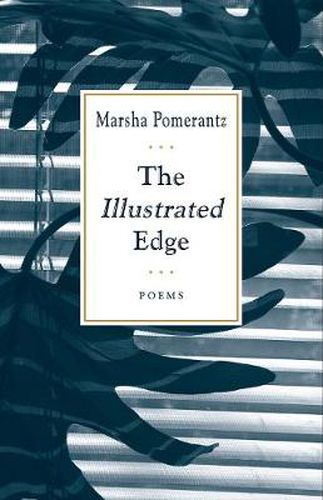 Cover image for Illustrated Edge