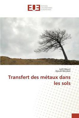 Cover image for Transfert Des M taux Dans Les Sols