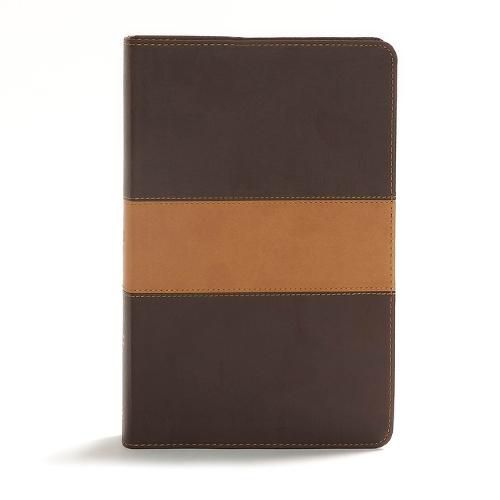 Cover image for CSB Disciple's Study Bible, Brown/Tan LeatherTouch