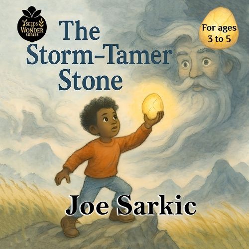 Cover image for The Storm-Tamer Stone