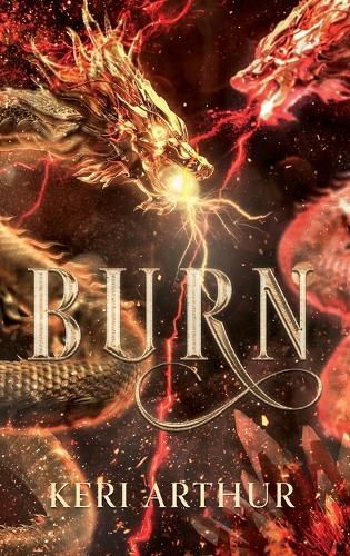 Cover image for Burn