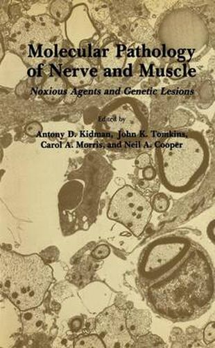 Cover image for Molecular Pathology of Nerve and Muscle: Noxious Agents and Genetic Lesions