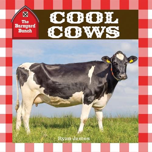 Cover image for Cool Cows