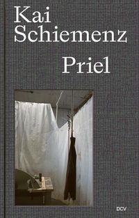 Cover image for Kai Schiemenz - Priel