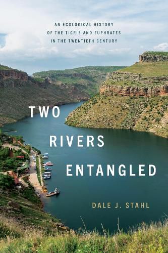 Cover image for Two Rivers Entangled