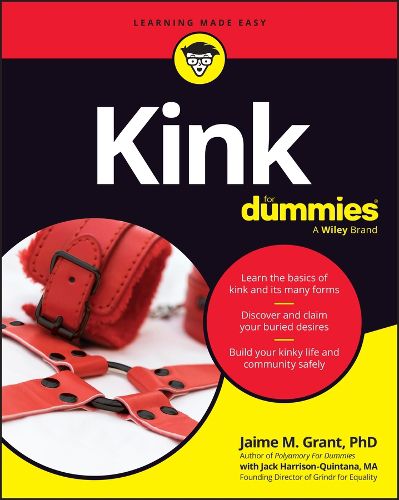 Cover image for Kink for Dummies
