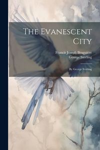 Cover image for The Evanescent City