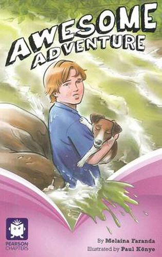 Cover image for Pearson Chapters Year 5: Awesome Adventure