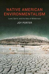 Cover image for Native American Environmentalism: Land, Spirit, and the Idea of Wilderness