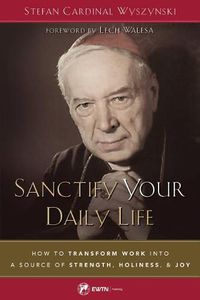 Cover image for Sanctify Your Daily Life