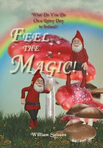 Cover image for Feel the Magic!: What Do You Do On a Rainy Day in Ireland?