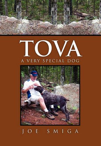 Cover image for Tova