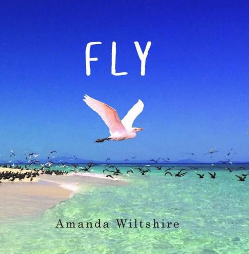 Cover image for Fly