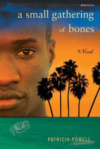 Cover image for A Small Gathering of Bones