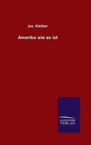 Cover image for Amerika wie es ist