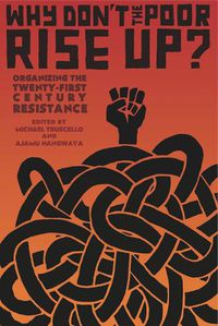 Cover image for Why Don't The Poor Rise Up?: Organizing the Twenty-First Century Resistance