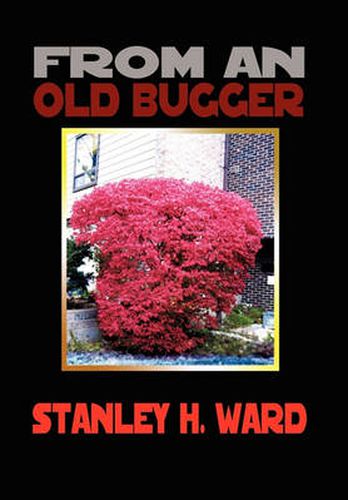 Cover image for From an Old Bugger