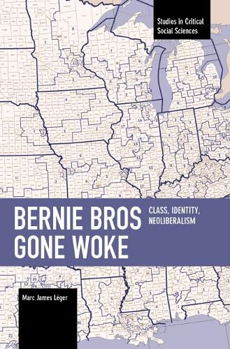 Cover image for Bernie Bros Gone Woke: Class, Identity, Neoliberalism