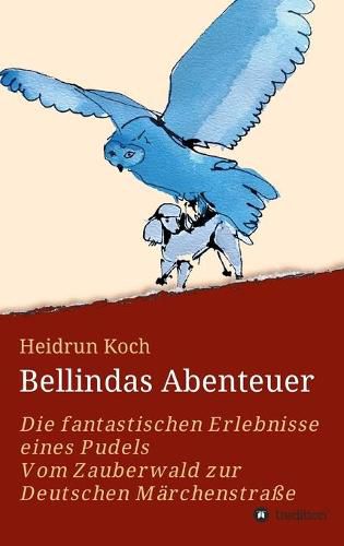 Cover image for Bellindas Abenteuer - Die fantastischen Erlebnisse eines Pudels: Vom Zauberwald zur Deutschen Marchenstrasse