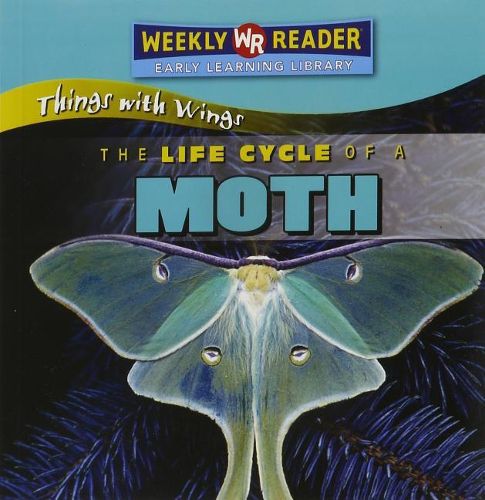 The Life Cycle of a Moth