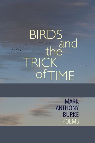 Cover image for Birds and the Trick of Time