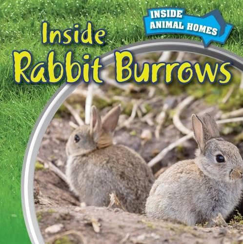 Cover image for Inside Rabbit Burrows