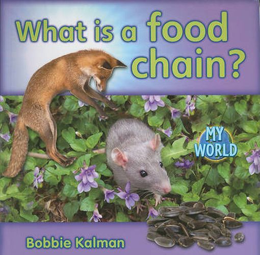 Cover image for What is a food chain?