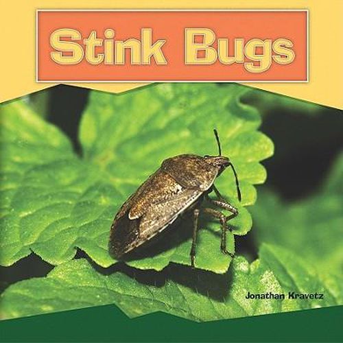 Cover image for Stink Bugs